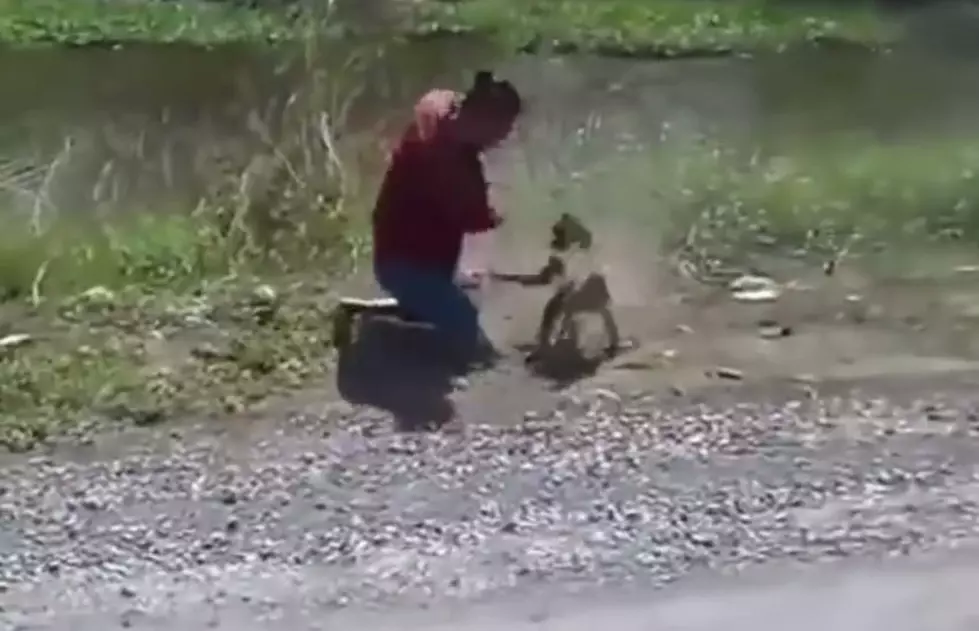 Grown Man Fights Monkey For Sitting On His Motorcycle [VIDEO]