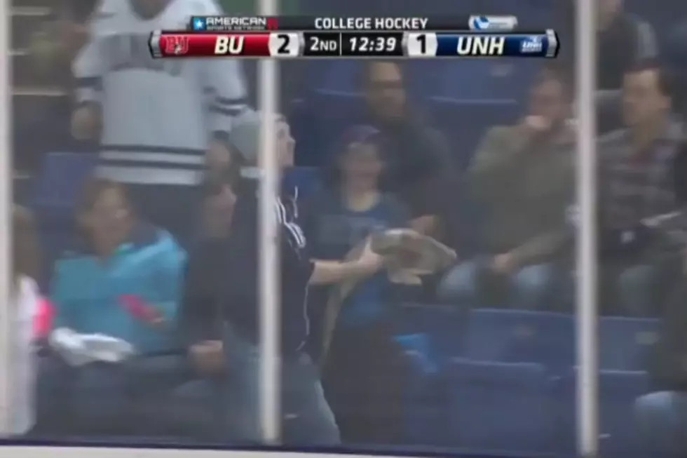 Hockey Fan Fails At Throwing Huge Fish On The Ice [VIDEO]