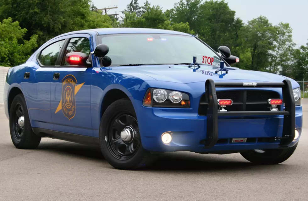 Michigan State Police Arrest Two Near Marshall After Fleeing and Crashing
