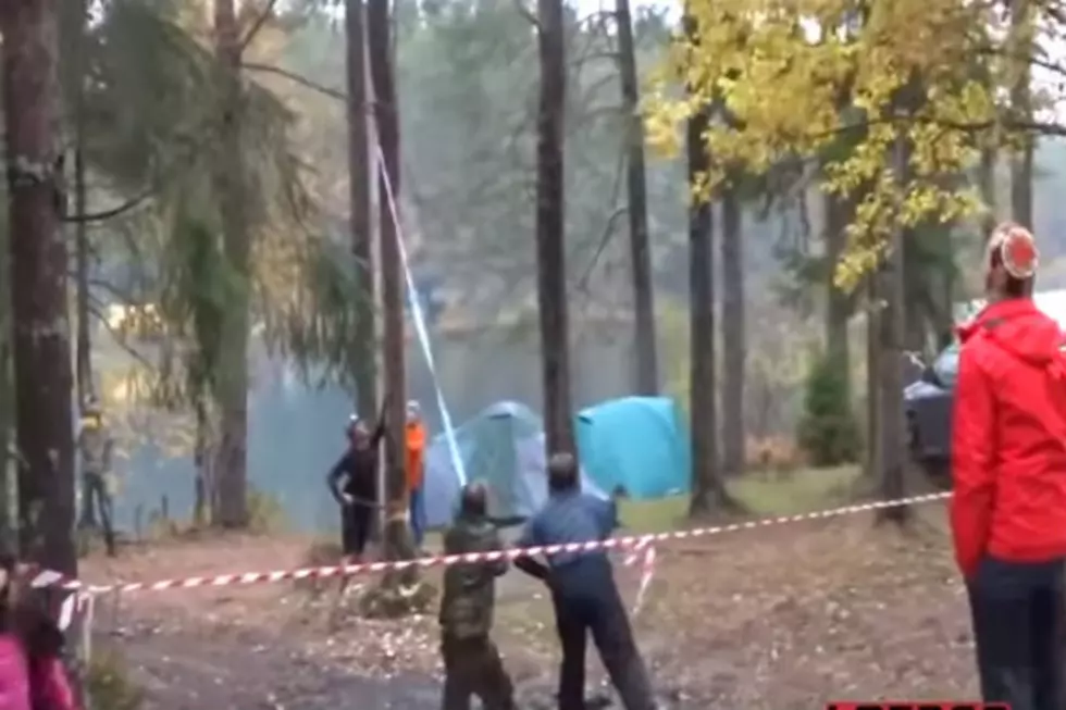 Guys Fail Big Time When Chopping Down A Tree [VIDEO]