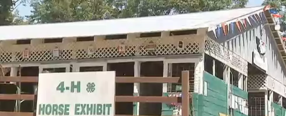 Clare County 4-H Program May End Due to a Budgeting Crisis [VIDEO]