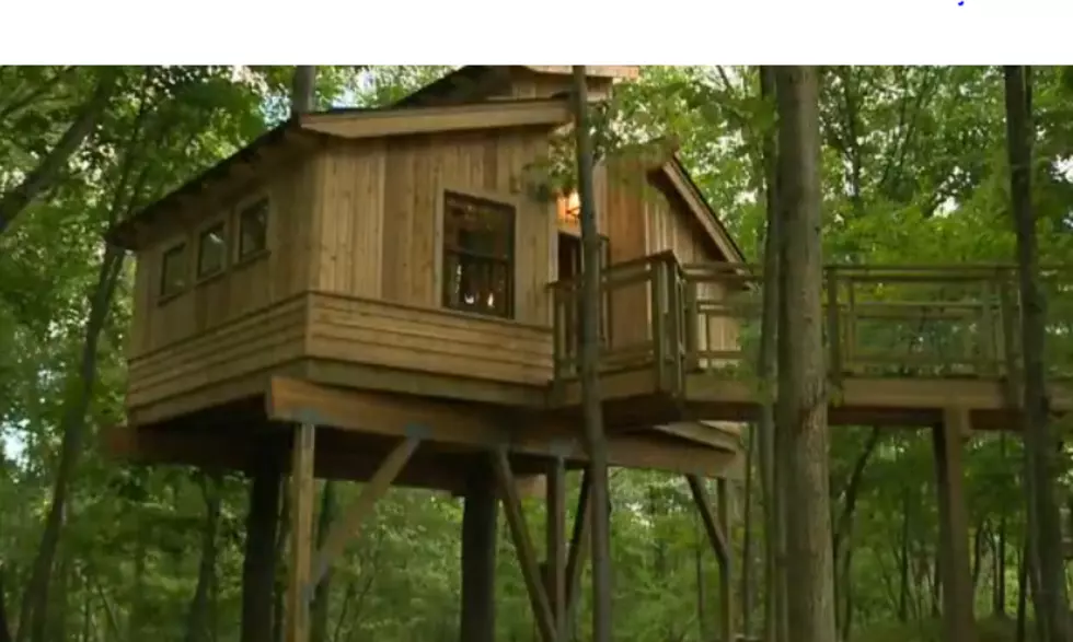 Genesee County Tree House To Be Featured On TV Show [VIDEO]