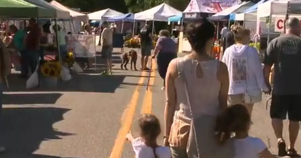 Grand Blanc Farmers&#8217; Market Celebrates Busiest Day of the Season [VIDEO]