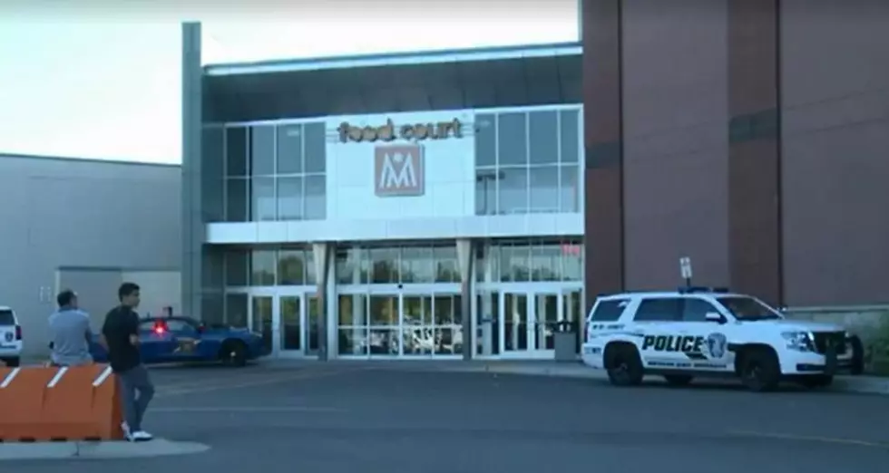 Teen Faces Charges For Making Terrorism Threats at a Michigan Mall [VIDEO]