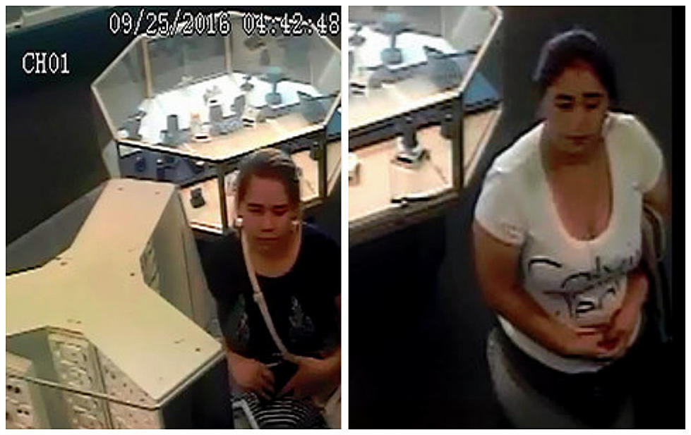 Bay County Police Need Help Identifying Jewelry Thieves