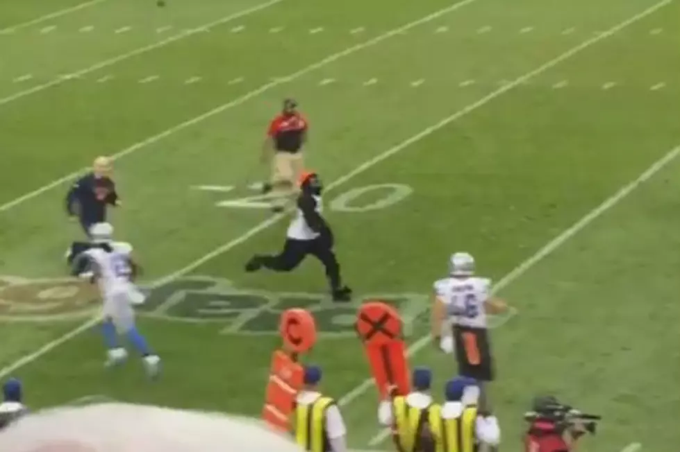 Fan In Gorilla Suit Rushes Field At Detroit Lions &#8211; Chicago Bears Game [VIDEO]