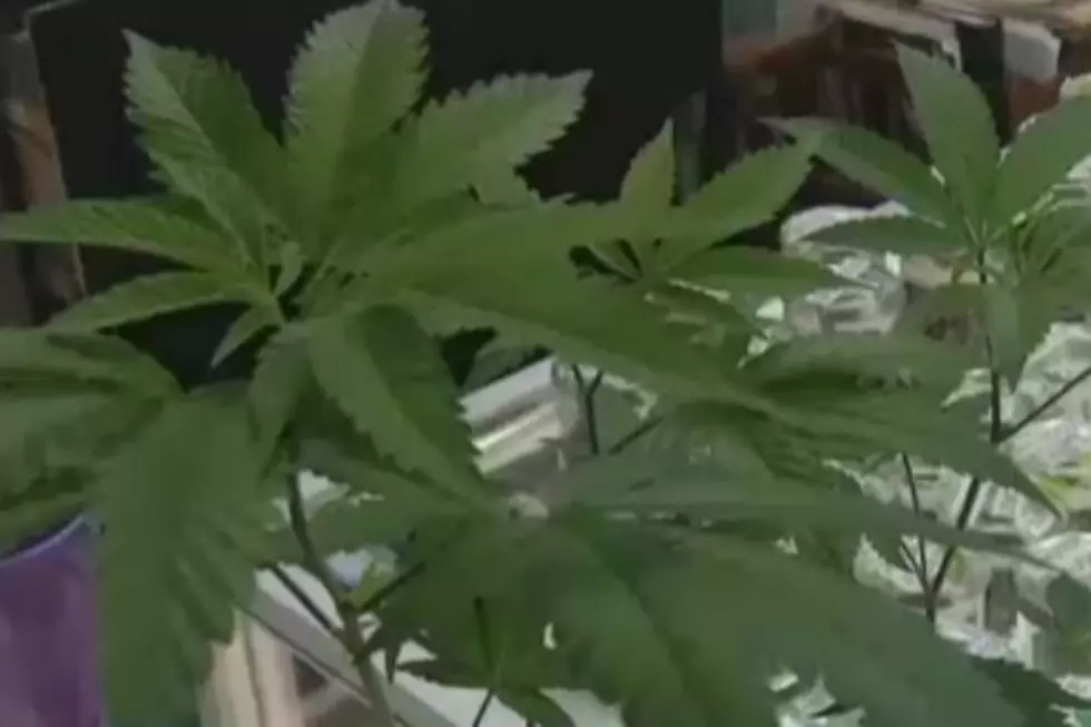 New Law Allows Landlords To Ban Medical Marijuana Use On Properties [VIDEO]