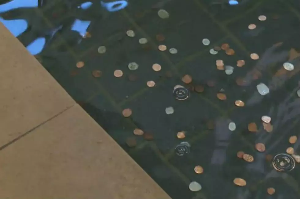 Genesee Valley Center Donates Change In Fountains To Food Bank [VIDEO]