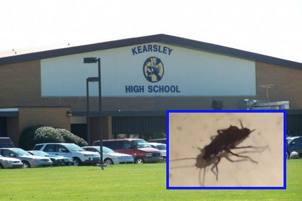 Cockroaches Caught on Video at Kearsley High School, Bed Bugs Reported As Well