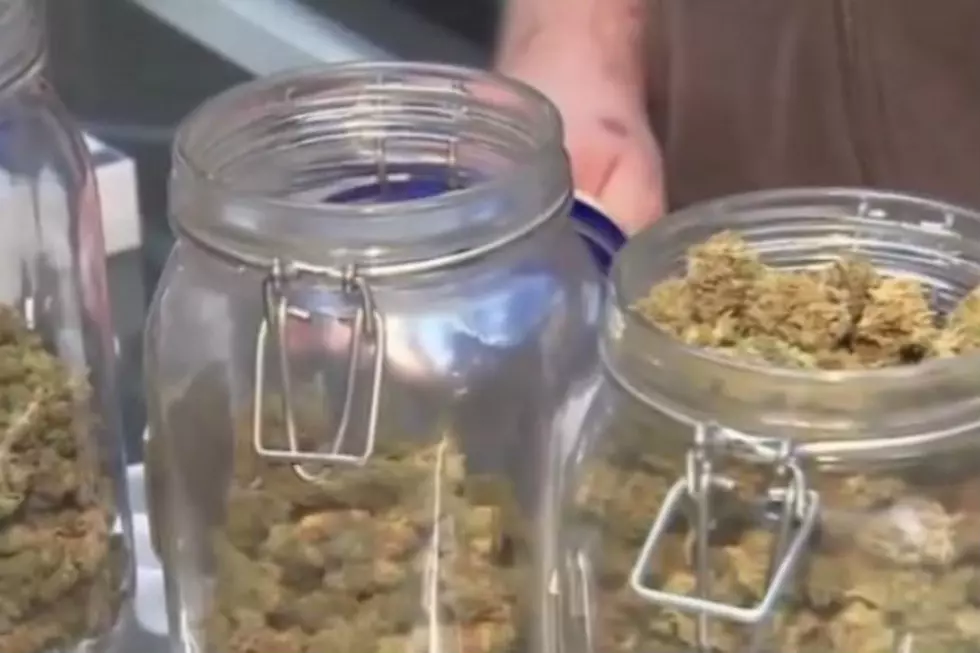 Vienna Township Votes No On Licensing Medical Marijuana Facilities [VIDEO]