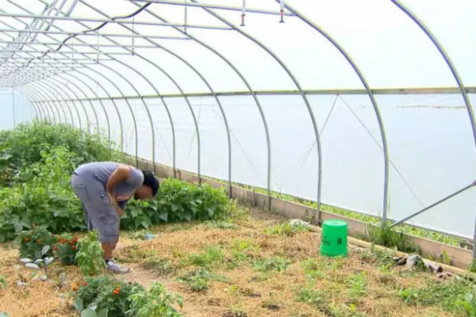 Students At Kettering Us Grant From Ford To Help Local Hoop House [VIDEO]