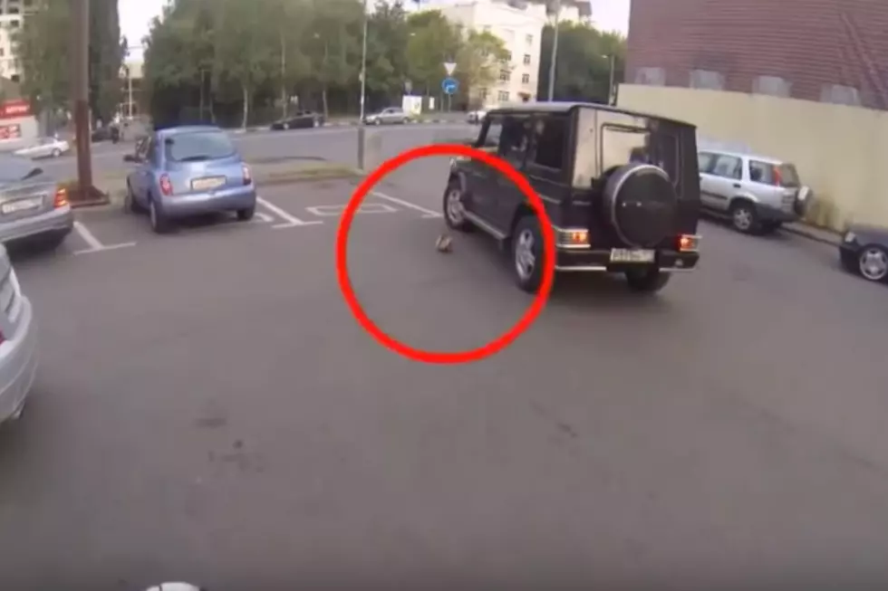 People That Throw Trash Out of Their Vehicles Are Total Losers [VIDEO]