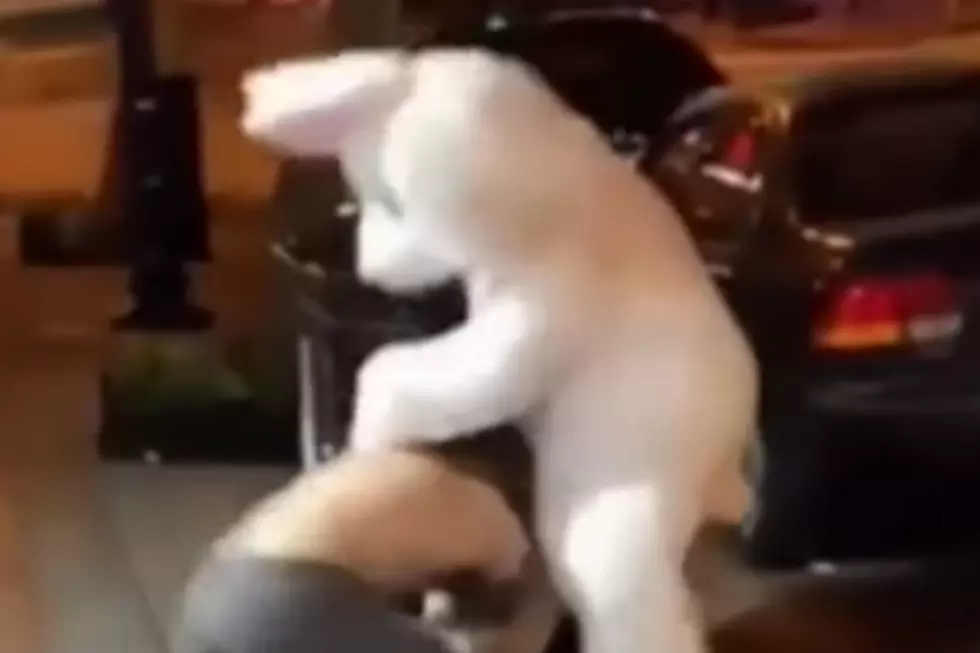 Bunny Brawl – Man In Bunny Costume Hops In To Break Up Fight [VIDEO]