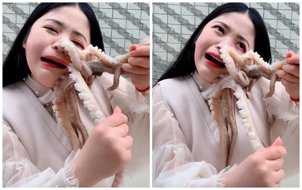 Octopus Fights Back As Woman Attempts To Eat It [VIDEO]
