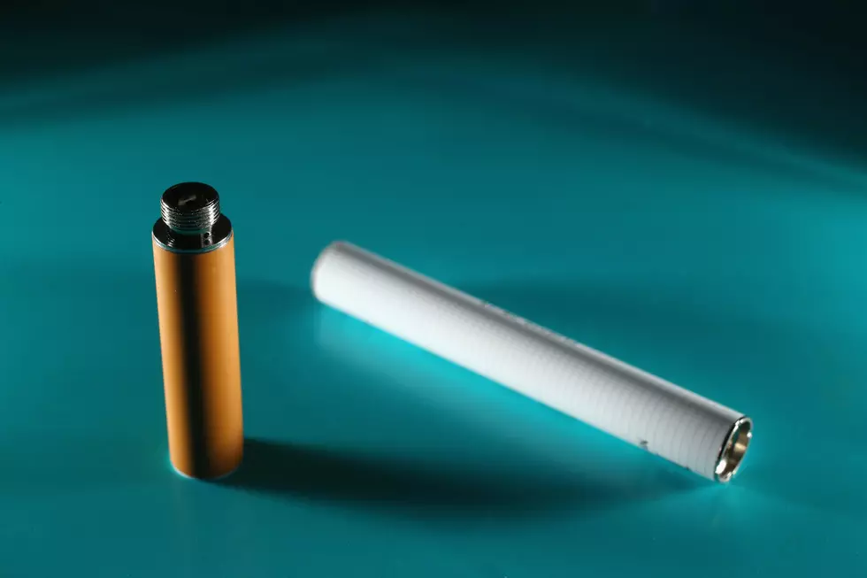 Michigan Becomes First State to Ban Flavored E-Cigarettes