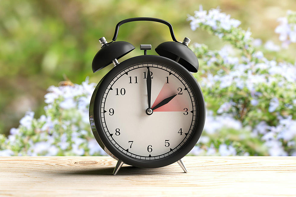 Daylight Savings Time – Spring Forward This Weekend