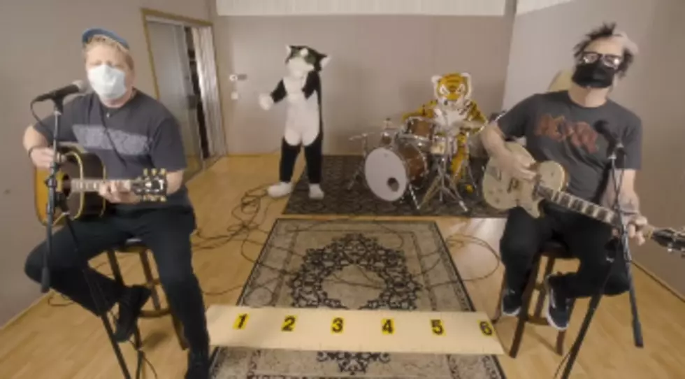 The Offspring Cover &#8216;Here Kitty Kitty&#8217; From Tiger King Documentary [VIDEO]