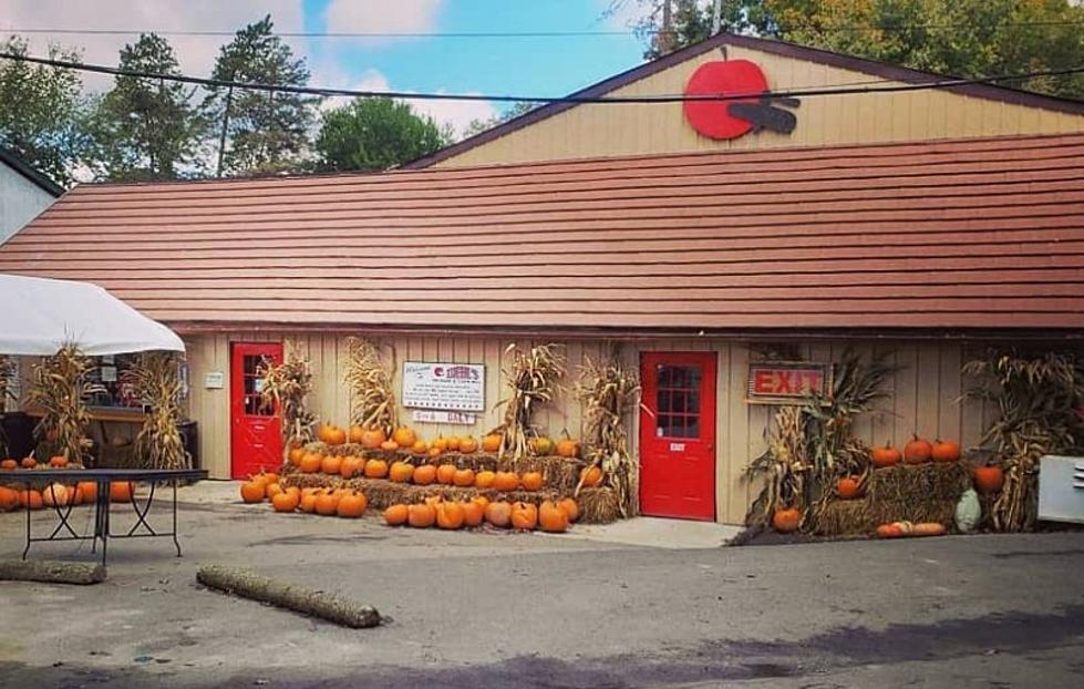 5 Michigan Orchards And Cider Mills To Visit This Fall