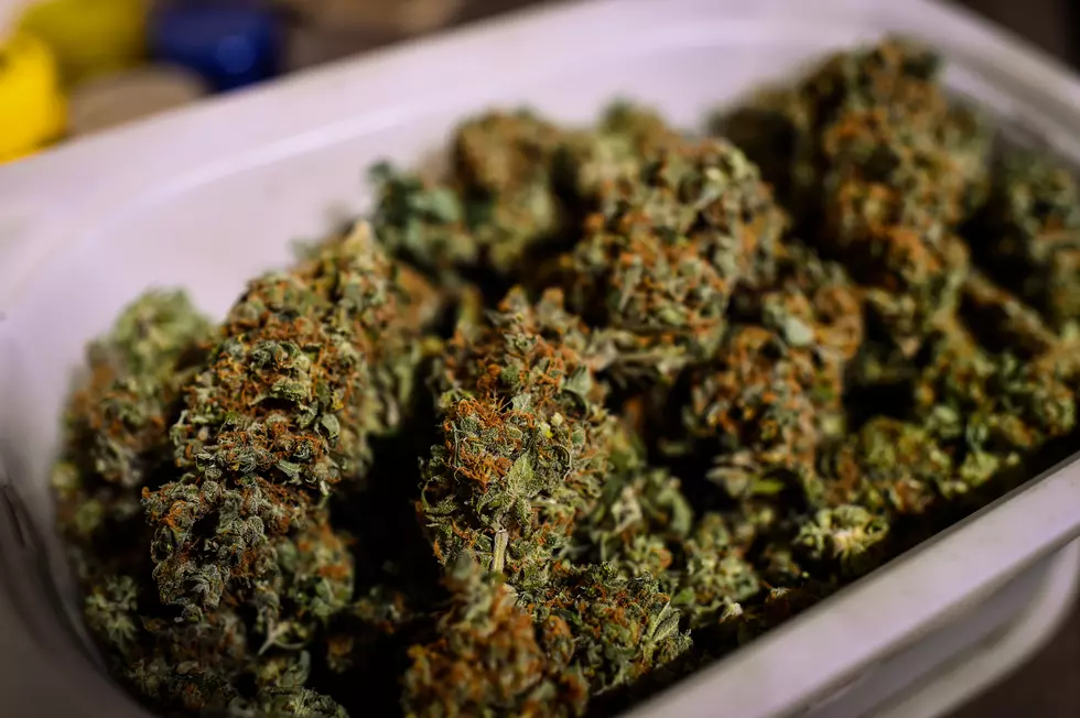 Marijuana-Infused Drinks Coming to Michigan?