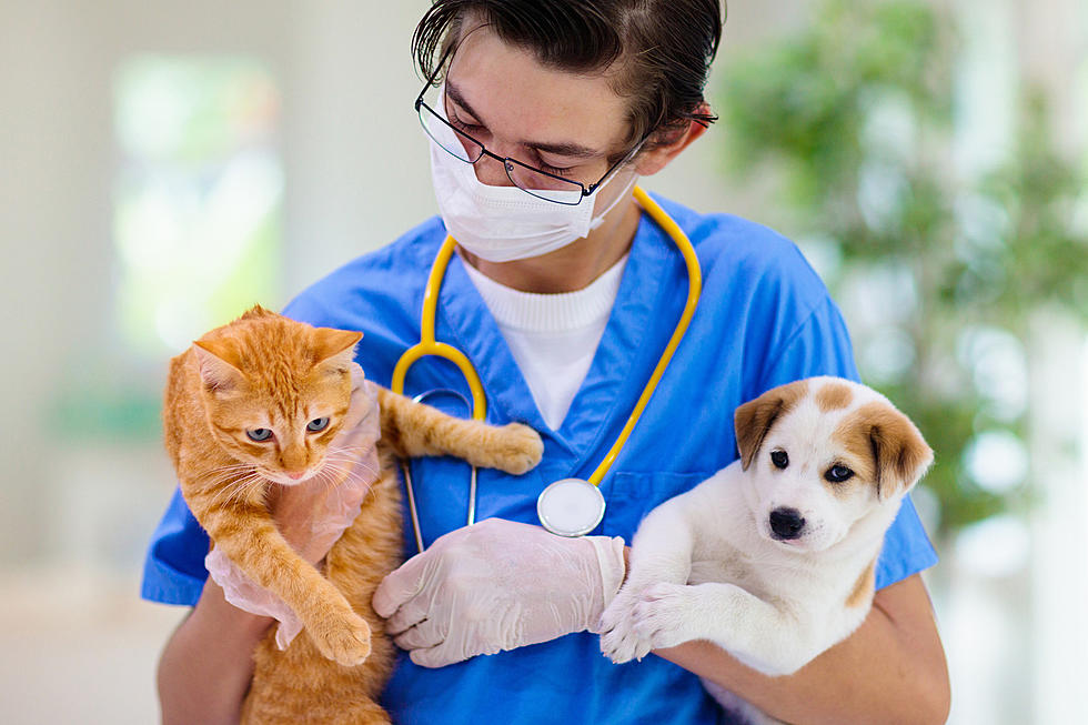 Genesee County Animal Microchip & Vaccine Clinic Today