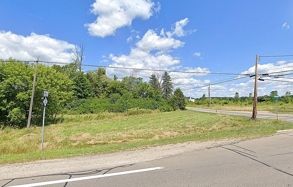 97 Michigan Land Parcels to be Auctioned Off, 4 in Genesee County
