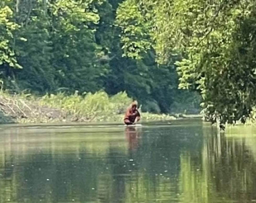 Michigan River Video Sparks Bigfoot Debate Among Residents And Experts