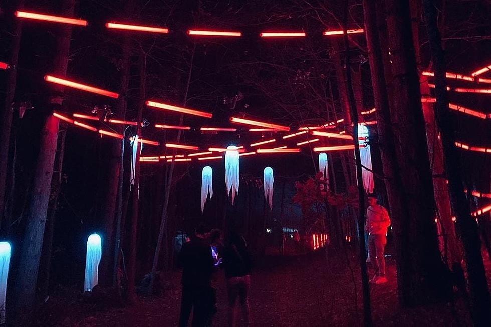 Haunted MI Forest Comes to Life With Trippy Halloween-Themed Light Show