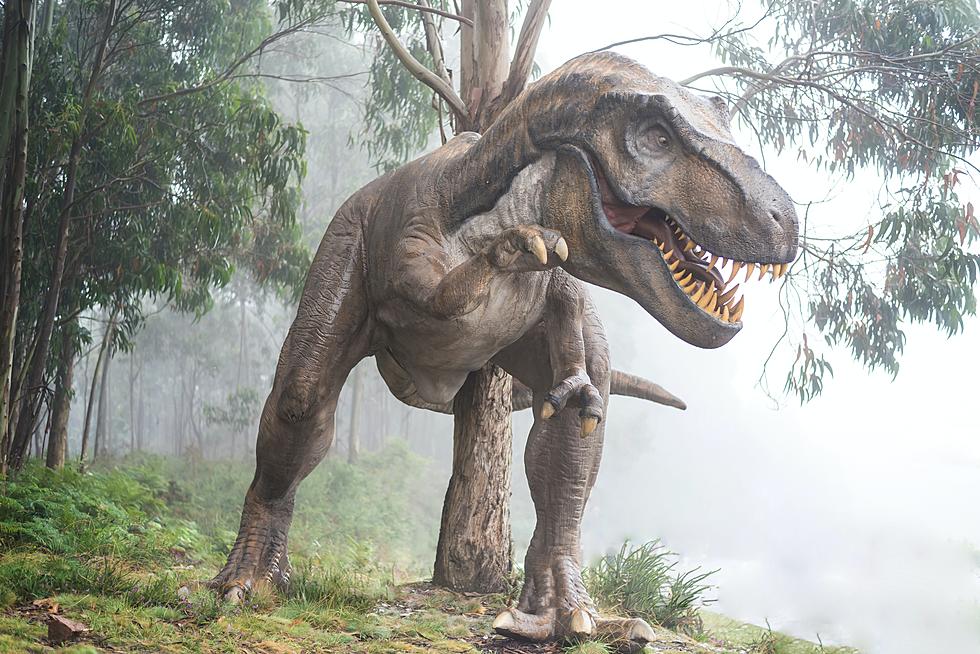 ‘Zoorassic Park’ Opens September 23rd at Binder Park Zoo