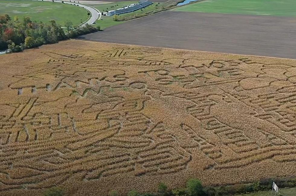 This Sprawling Corn Maze South of Ann Arbor Could Get You Lost For Days