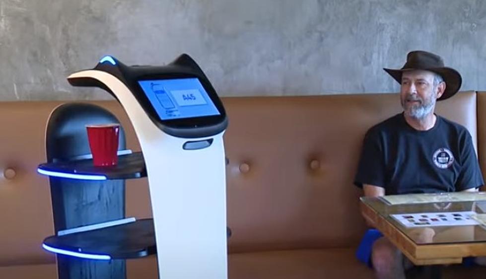Detroit Area Restaurant Solves Staffing Issue With Robots
