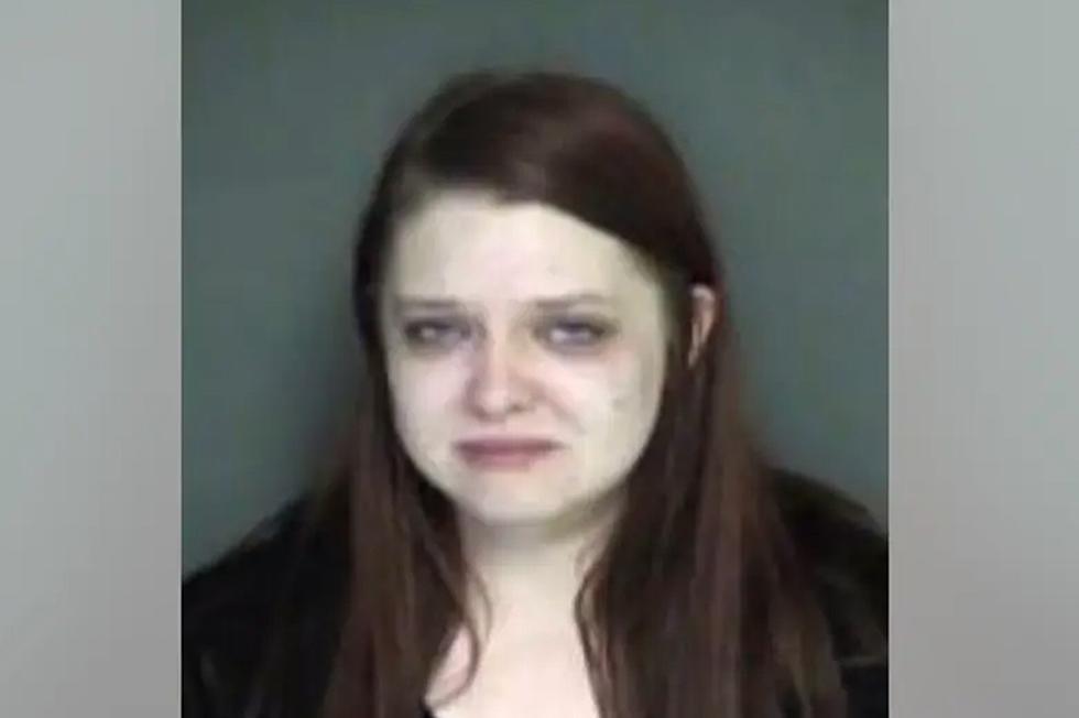 Woman Charged With Hit-and-Run That Killed Metamora Man and Two Dogs