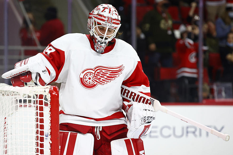 The Detroit Red Wings to Postpone Games Until 12/26 Due to COVID