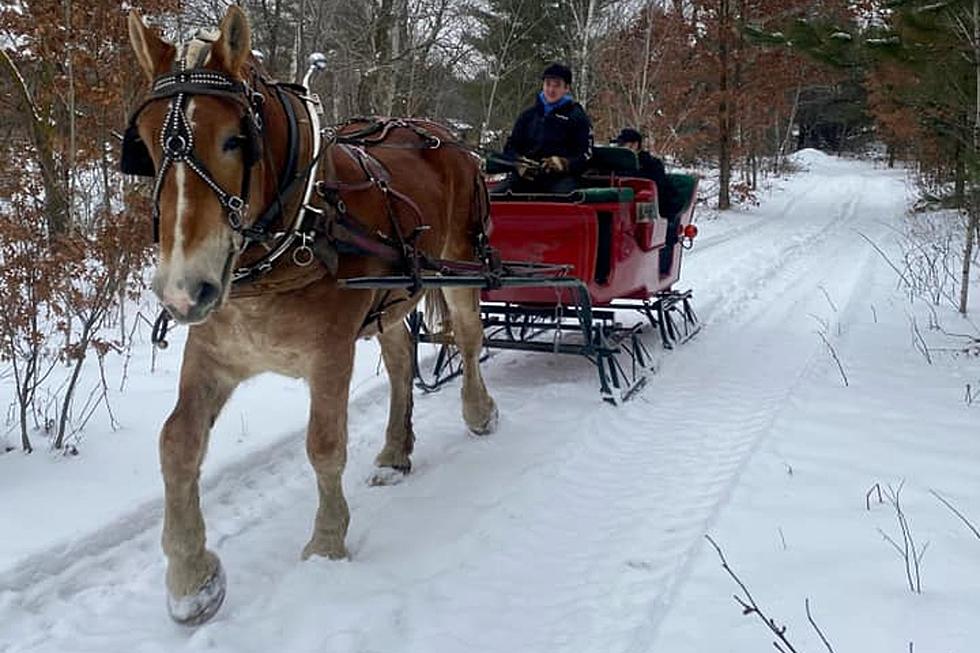 Take an Old Fashioned Sleigh Ride on 70 acres of Trails in Gaylord, Michigan