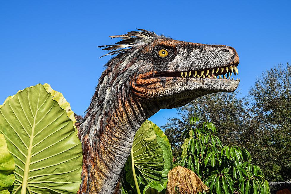 Dinosaurs and Dragons are Coming Back to Michigan This Spring