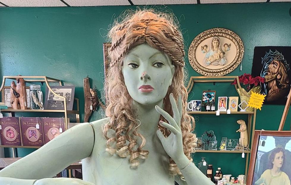 The ODDitorium In Lapeer Will Pay For Your Weird Items