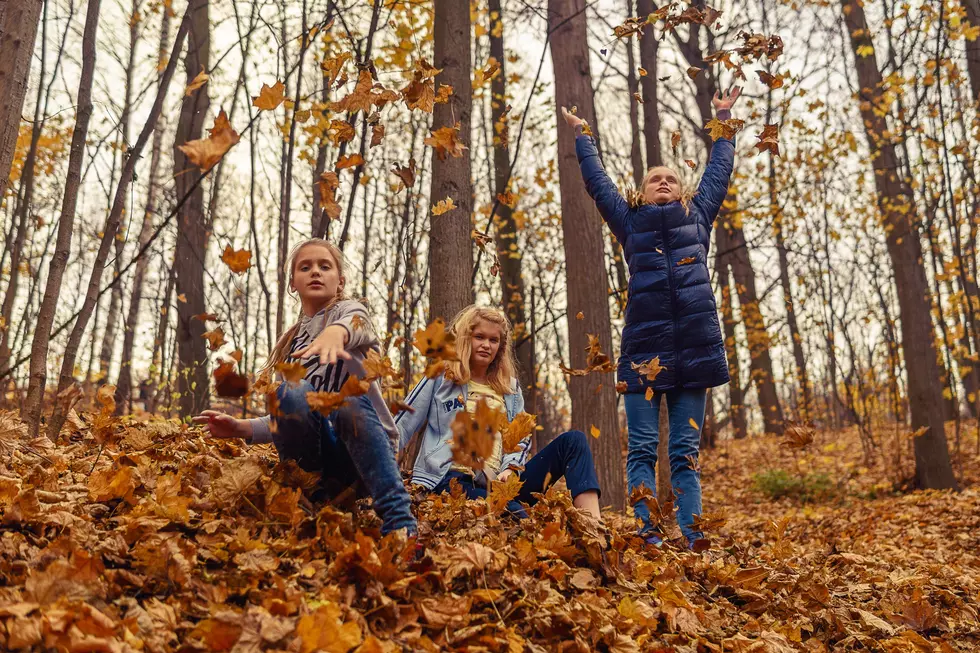 Eight Great Flint Area Locations for Fall Photos With the Family