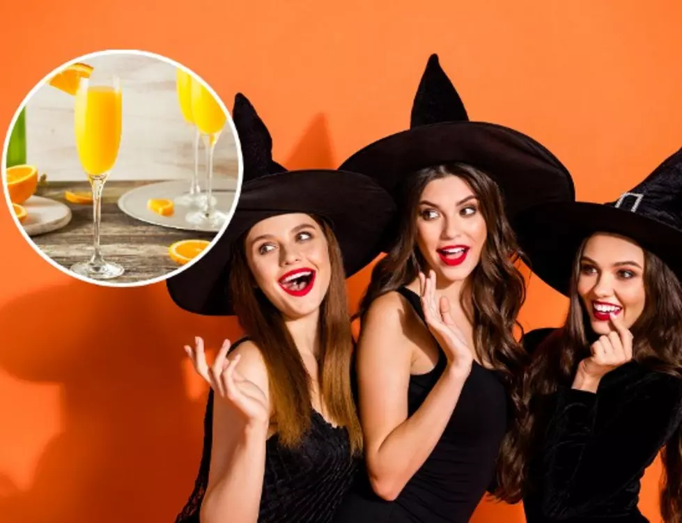 Holly Vault To Host Witches And Wizards Brunch – What You Need To Know