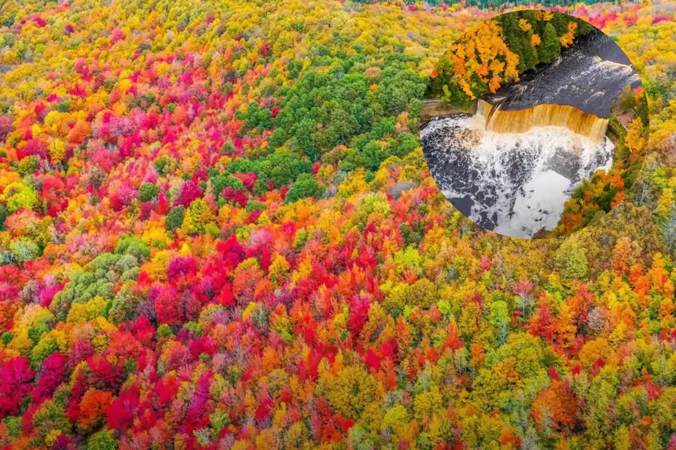 See Northern Michigan’s Amazing Fall Colors From a Drone