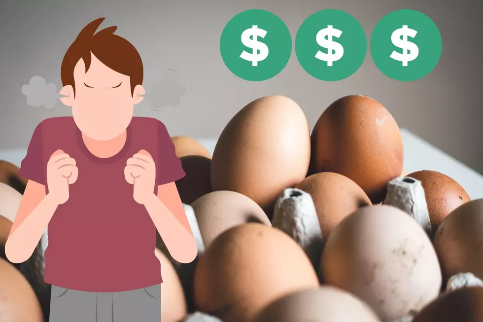 This is Why Eggs Are So Freaking Expensive in Michigan Right Now