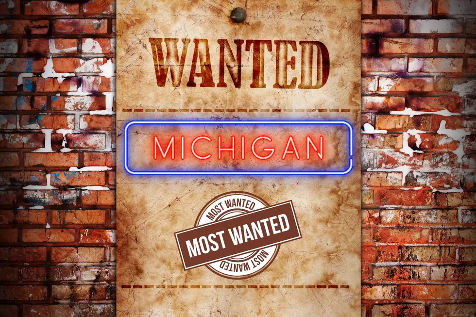 Michigan's Most Wanted - The State's Top 6 Sought After Criminals