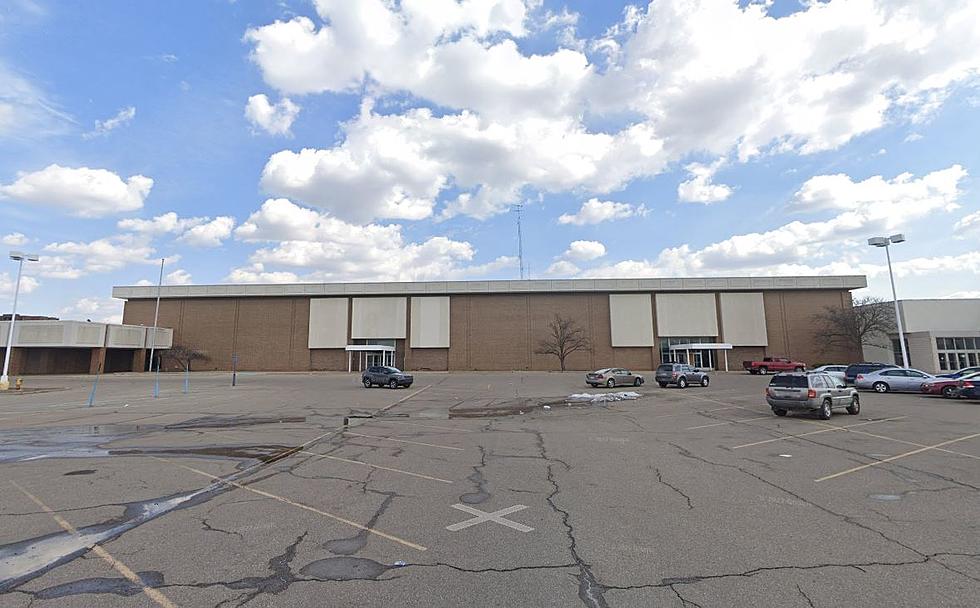13 Suggestions to Fill Flint's Empty Sears in Genesee Valley Mall