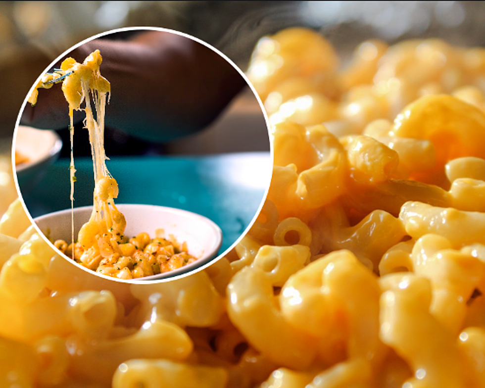 Michigan Big Cheese Mac & Cheese Festival – What You Need To Know