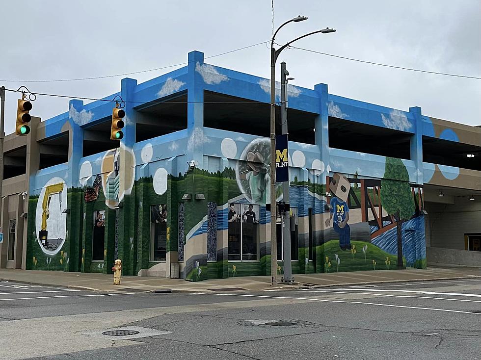 Amazing Mural for the Flint Public Art Project Finished on Harrison Street