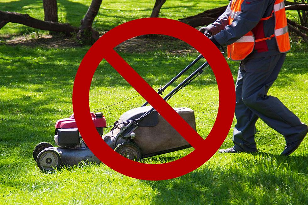 Why Are These Major MI Cities Not Mowing Their Lawns This Month?