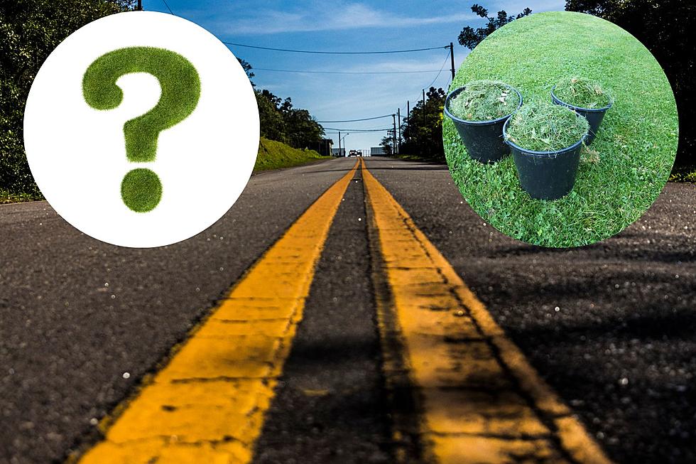 Is it Illegal to Blow Grass Clippings Into The Roadway in MI?