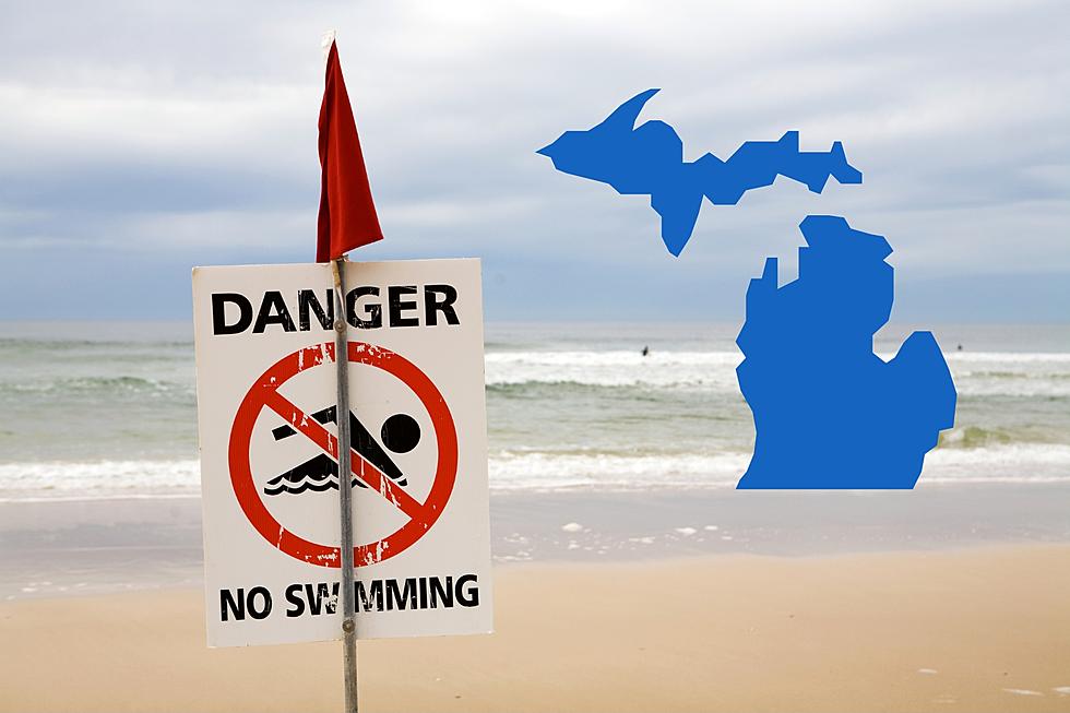 15 Michigan Beaches Have Closures or Advisories This Weekend