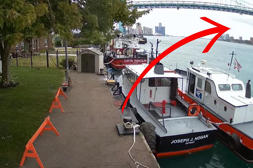 Video Shows Worker Falling 150 Ft. From Bridge into Detroit River