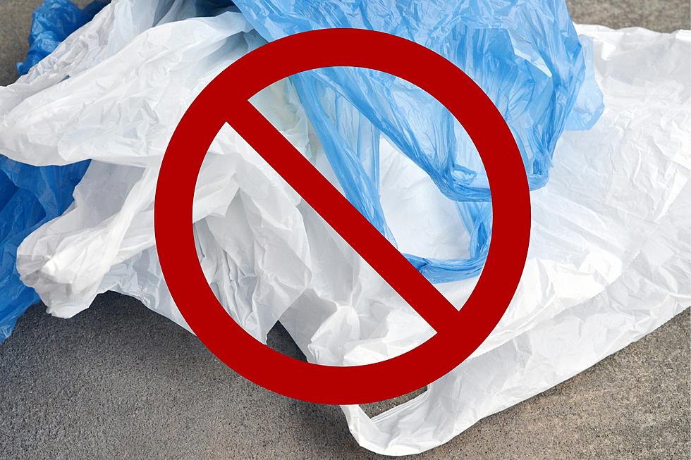 Walmart is Getting Rid of Plastic Bags. Will it Happen in MI?