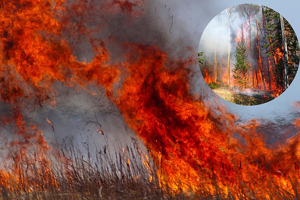 The Worst Wildfire in MI’s History Destroyed Over 2,500,000 Acres