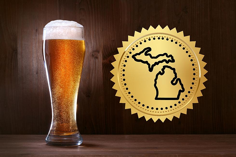 This Michigan Beer Ranks #4 in Most Delicious Beers in America